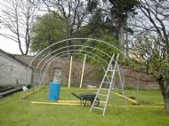 Polytunnel 5